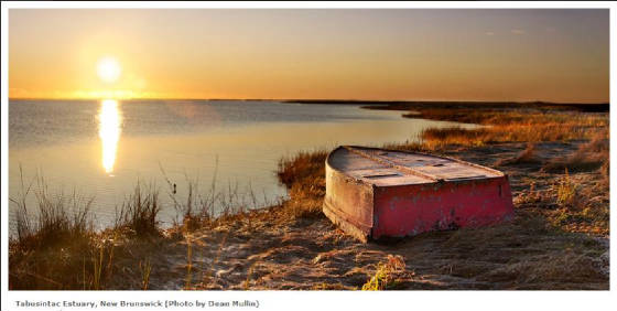 TabuEstuary.jpg.w560h282